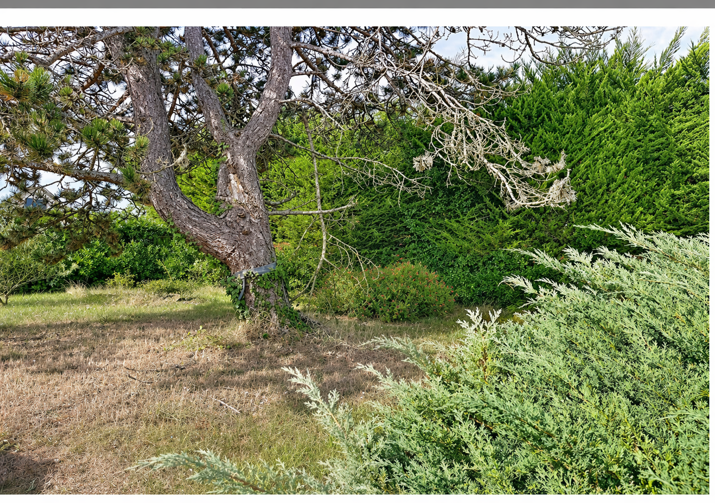 Saint-Briac — Terrain constructible 300 m² chemin des Tourelles